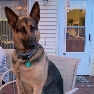 Meet your Posher, Margaret